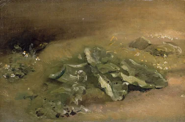 Étude de la Bardane